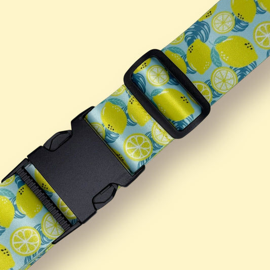 Luggage Strap - Citrus Chic